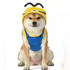 Minion Dog Costume size L